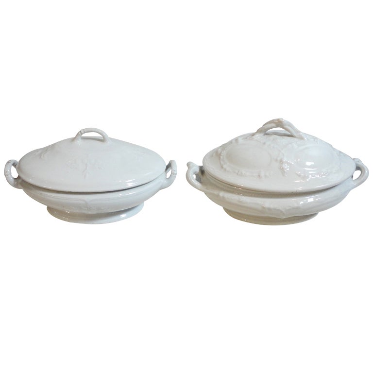 Group of Two 19th Century English Ironstone Tureens at 1stDibs