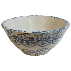 Fantastic 19thc  Design Sponge Ware Pottery Bowl