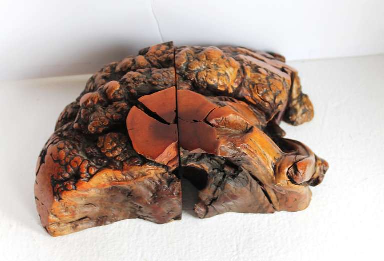 Spectacular Pair of Tiger Eye Burl Wood Bookends In Excellent Condition In Los Angeles, CA