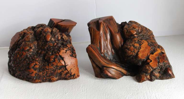 Spectacular Pair of Tiger Eye Burl Wood Bookends 1