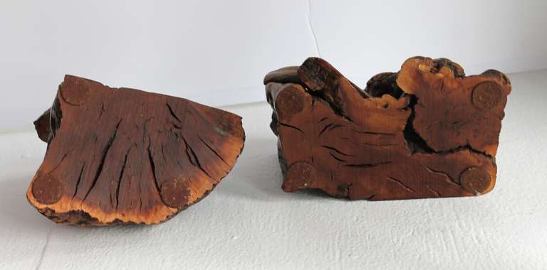 Spectacular Pair of Tiger Eye Burl Wood Bookends 2