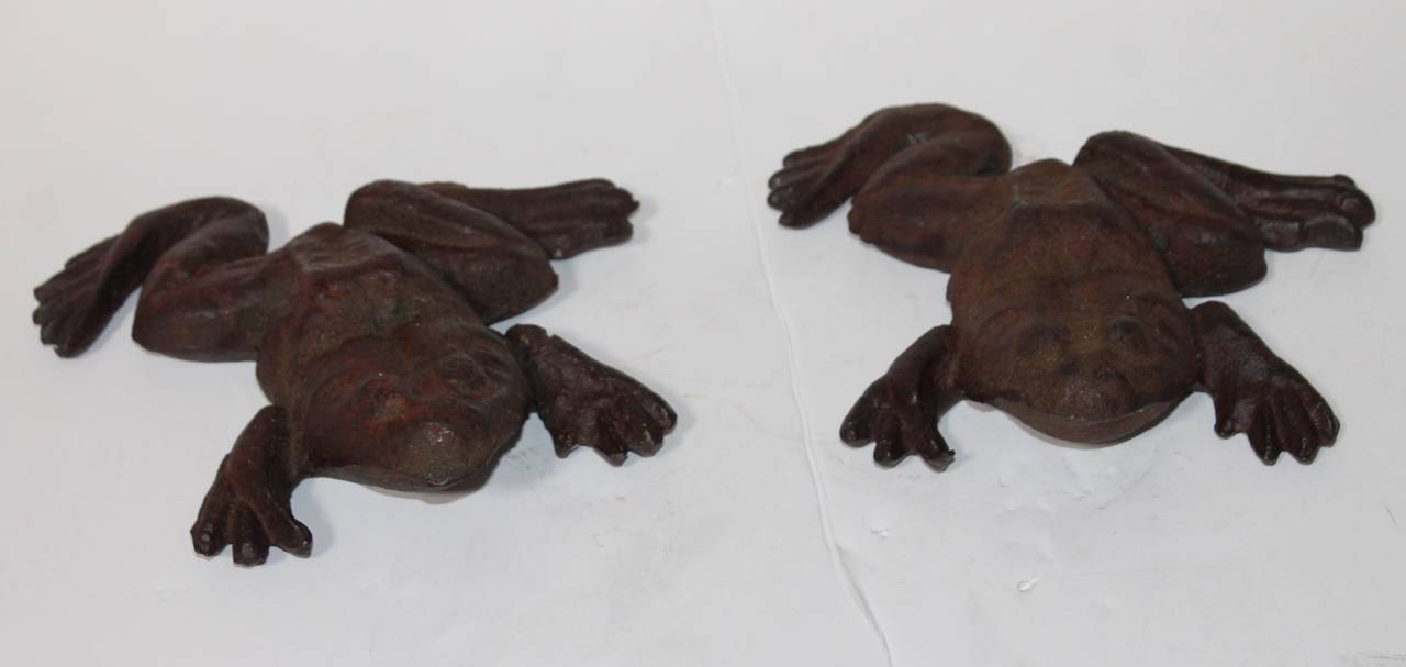 How cool to find a pair of these fun frogs in cast iron. The surface is worn and aged patina. We think they are male and female. The condition is very good. We think they were a pair of garden ornament.