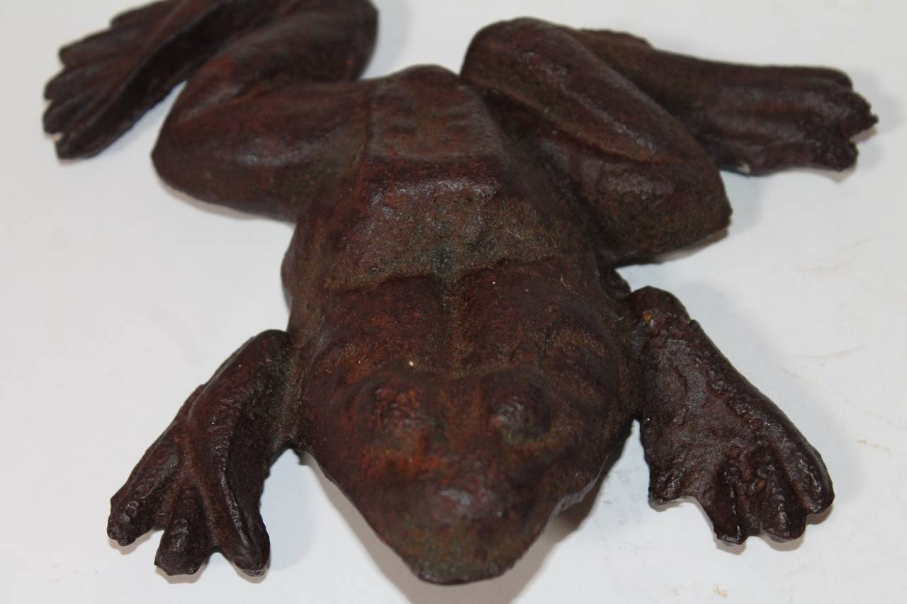 antique cast iron frog