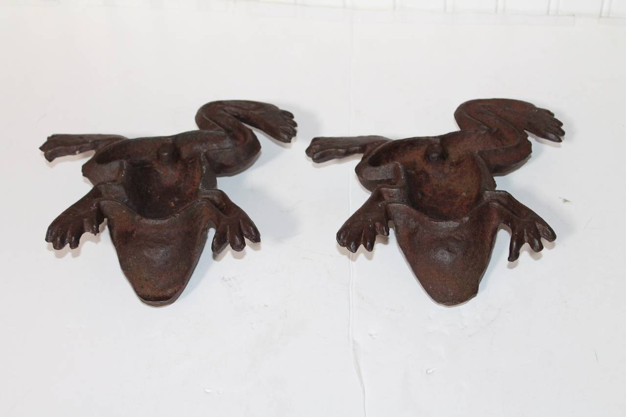 cast iron frogs