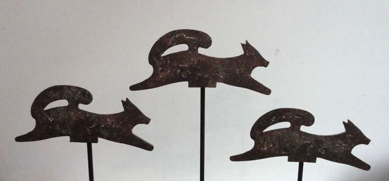 Fantastic Collection of Three 19th Century Cast Iron Foxes - Target Shoot's