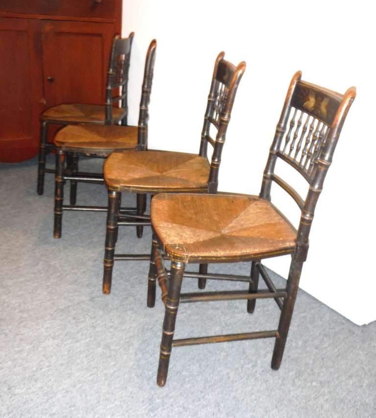 19th Century Set of Four 19thc Original Paint Decorated Hitchcock Chairs w/ Orig. Rush Seats