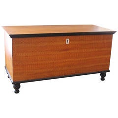 19th Century Original Sponge Paint Decorated Blanket Chest from Pennsylvania 6