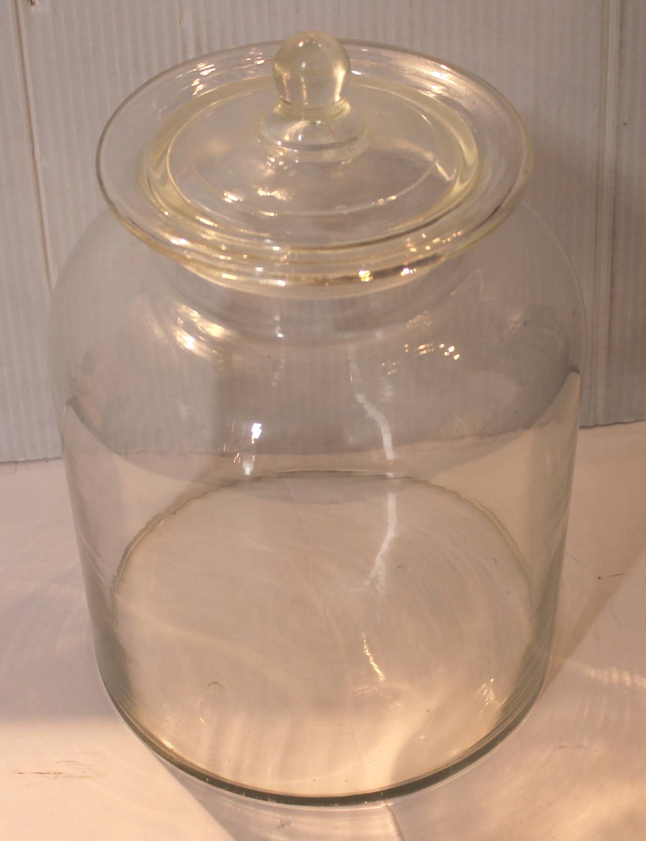 Country 19th Century Peanut Apothecary Jar with Lid For Sale