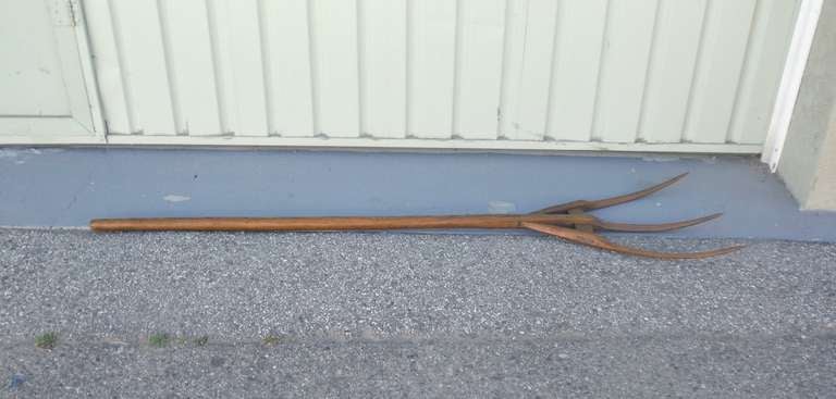 American 19thc Hickory Hay Fork From New England