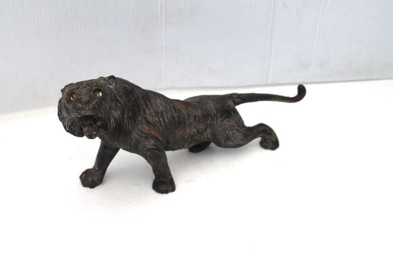 This amazing and fierce 19thc cast iron tiger is on the prowl. It looks like it is coming out of the jungle with it's body so spread out and tail in the air. You can see the fine lines of her coat and electric original glass eyes are so realistic!
