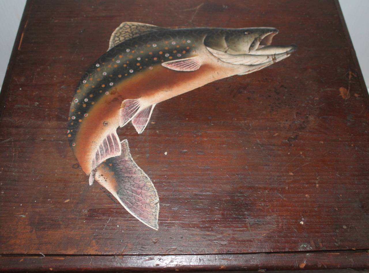 Early 20th Century Original Painted Fish Box