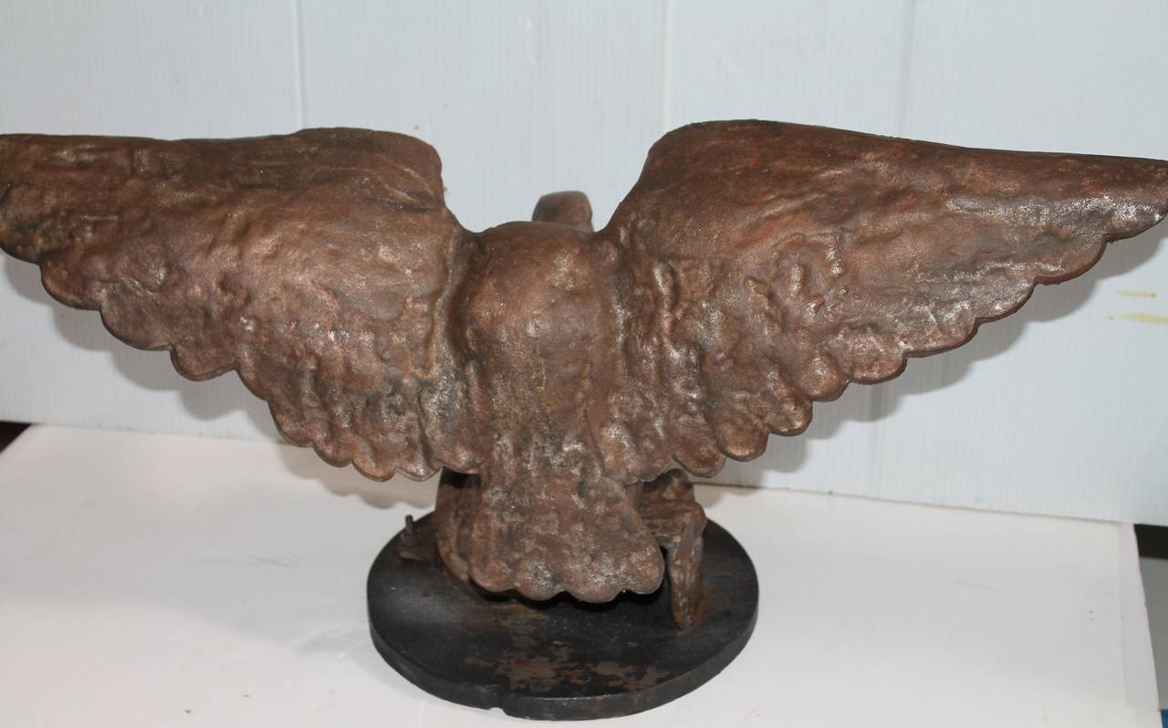 Monumental 19th Century Cast Iron Eagle on Wood Mount at 1stDibs