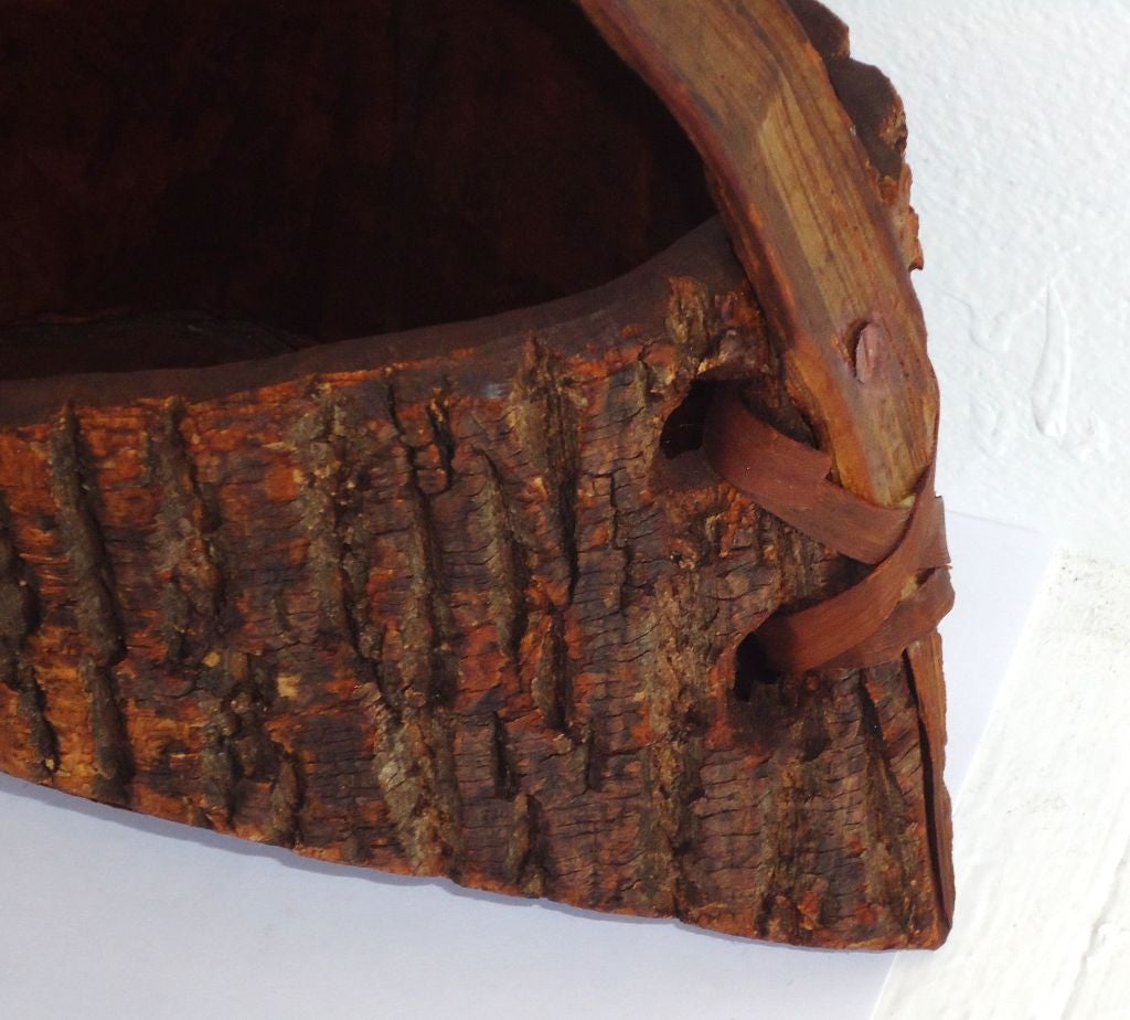 American Early 20th Century Bark Covered Handmade Wood Wall Pocket