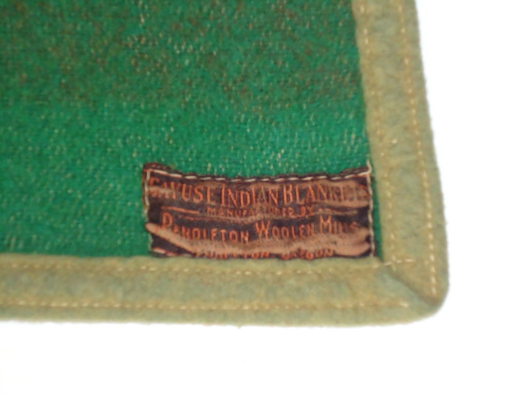 Early 20thc Pendleton Wool Indian Blanket/cayuse Original Label 1