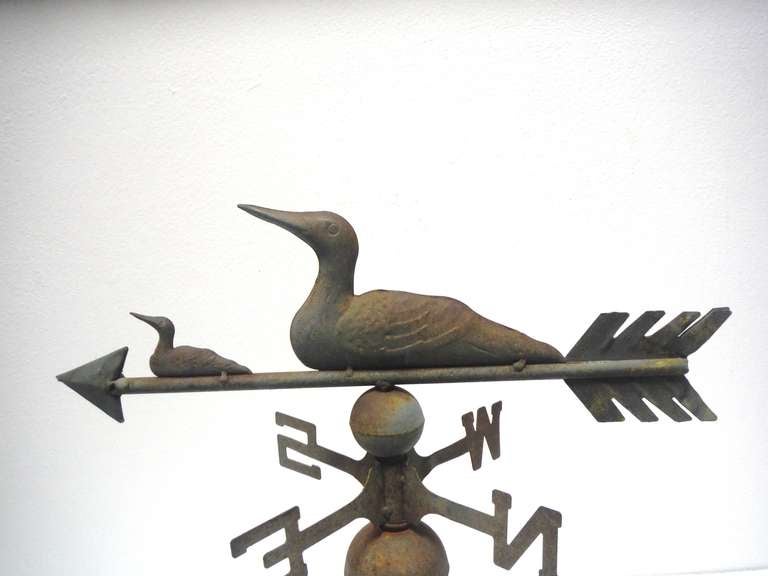 This wonderful small scale decoy or ducks weather vane was found in the mid west  on a roof top of a barn . The original old surface is as found with a wonderful  old  patina.It has all the original directionals and arrow that are all on one