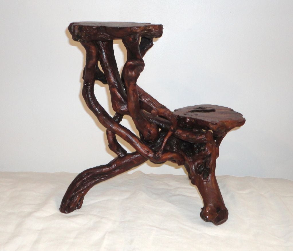 American Early 20th Century Root and Twig Tabletop Plant Stand For Sale