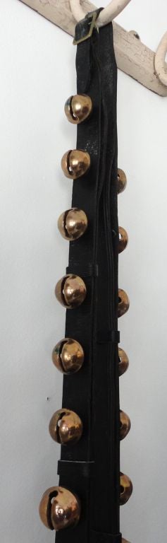 19th Century 19thc String Of Bells On Leather Strap From Pennsylvania