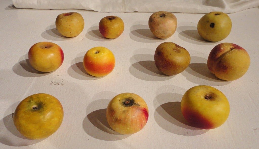 20th Century Fantastic  Large Collection of 56 Pieces of Stone Fruit