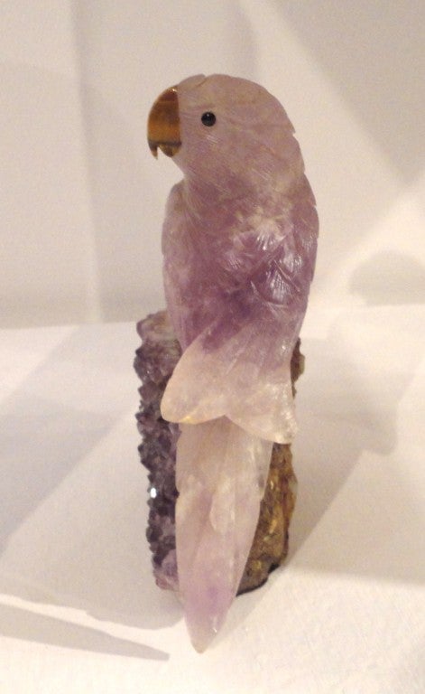 amethyst budgie