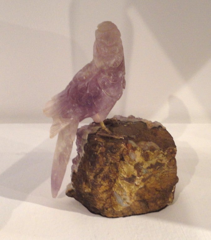 amethyst budgie