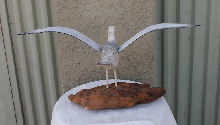 Primitive Fantastic Early 20Th Century N.E. Hand Carved Wood Seagull on Drift Wood