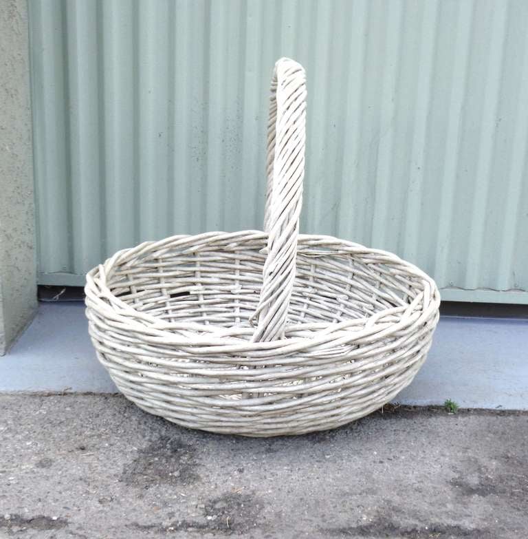This early original white painted very large 20thc fruit or gathering basket is in great condition. This basket could be used for many different purposes .It has minor wear on base , but is in great condition.