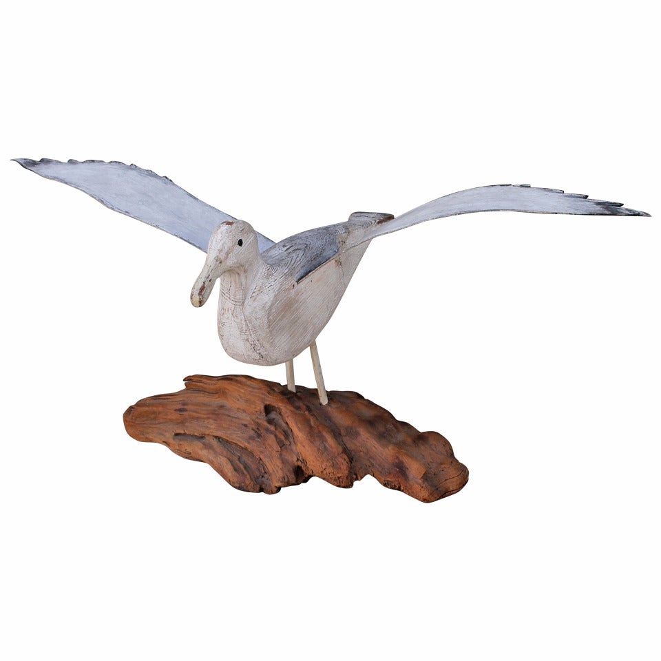 Fantastic Early 20Th Century N.E. Hand Carved Wood Seagull on Drift Wood