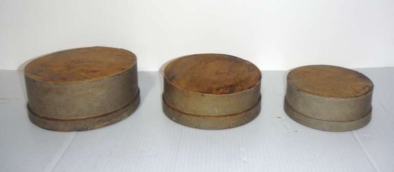 Pine 19thc Original Putty Painted Graduated  Pantry Boxes