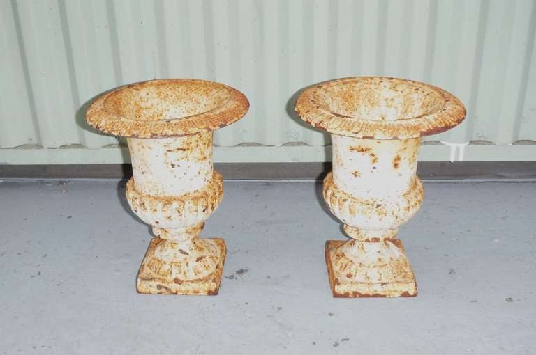 Pair of of 19thc original crusty white painted surface iron table top urns . This wonderful matching urns are somewhat of a diminutive form .Great for on the table with flowers for the holidays .