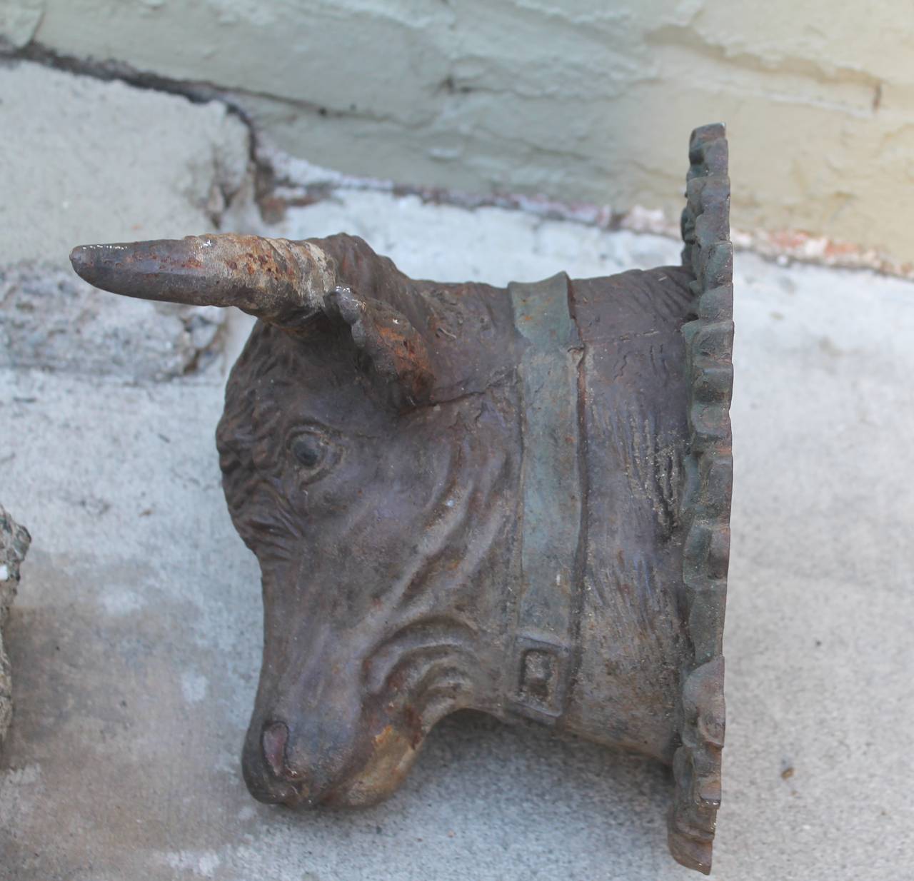 19th Century Cast Iron Bull's Head from a Butcher Shop Trade Sign 1