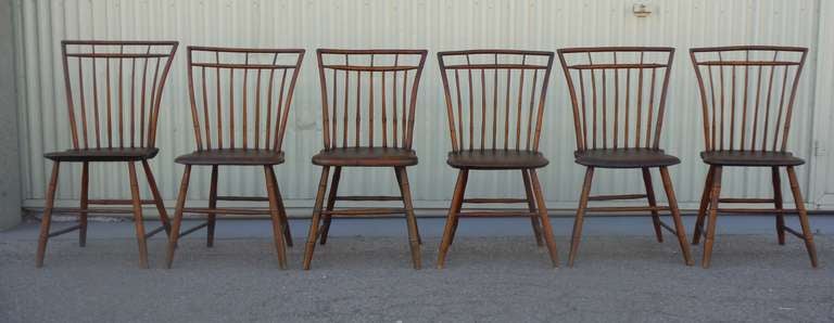 19th Century Set of Six 19th c. Early Philadelphia Rod Back Birdcage Windsor Chairs