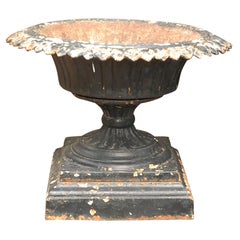 Black Iron Urn from Late 19th Century England 