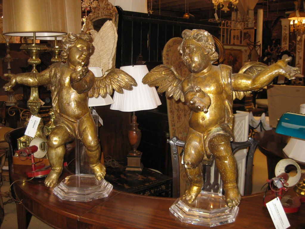 pair of 18th C giltwood cherubs on modern lucite custom base stands.  putti