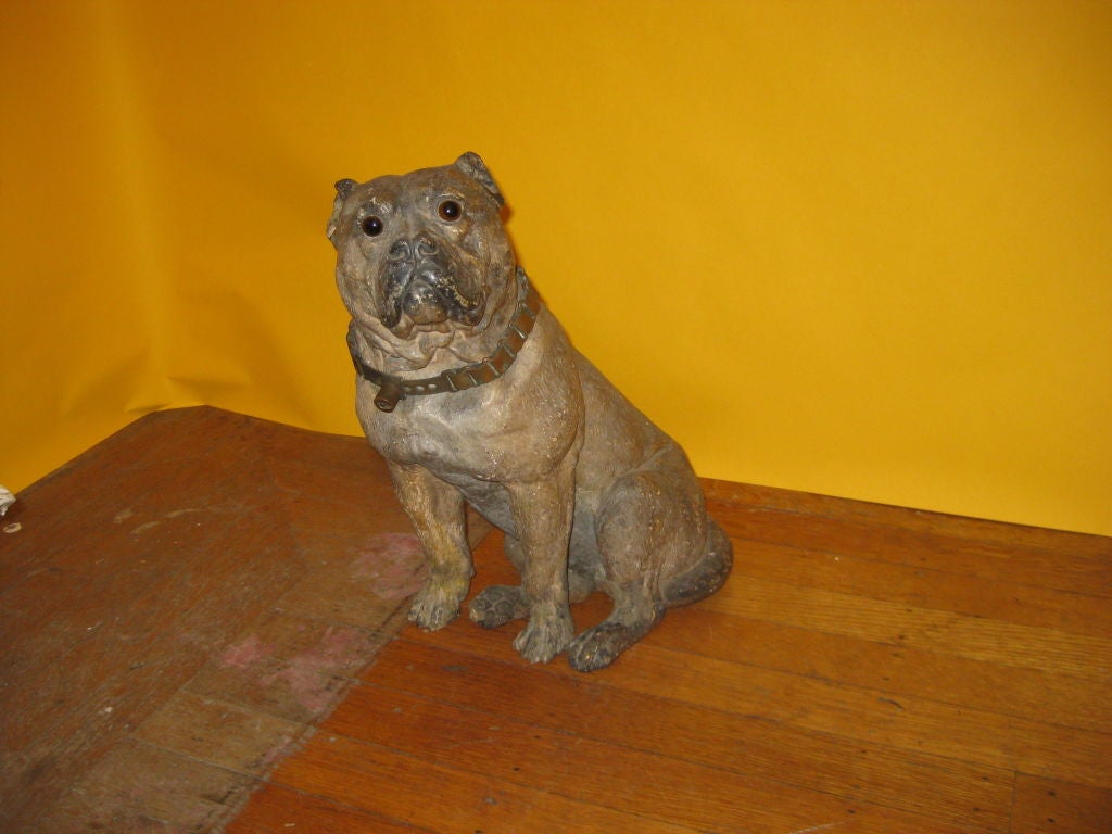 Charming pug with original finish and 19th c dog collar
