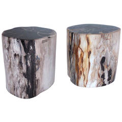 Petrified Wood Stool/Side Tables
