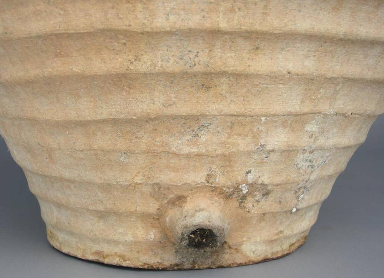 Spanish Large-Scale Jar For Sale
