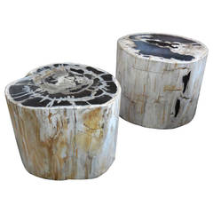 Large-Scale Petrified Wood Side Tables