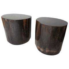 Black Petrified Wood Tables