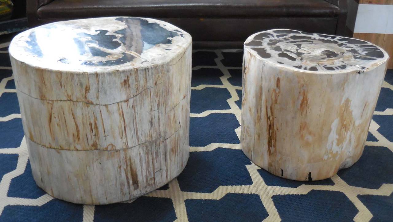 International Style Large-Scale Petrified Wood Side Tables