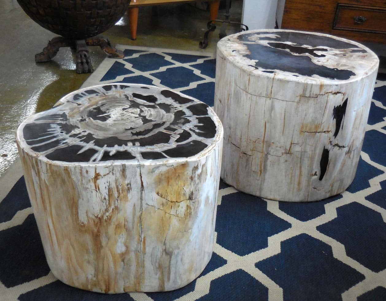 Exceptionally large petrified wood or stone side tables or stools. White, beige, browns and black variations. Left measures: 24.5 D x 20 H and the right measures 22 x 19 x 17.5 H.
Can be sold separately.