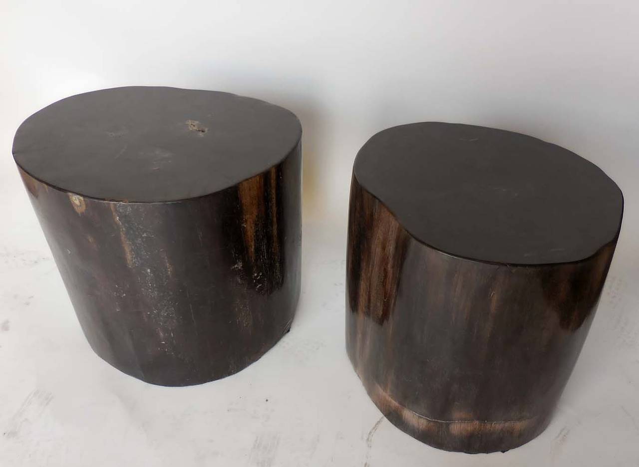 International Style Black Petrified Wood Tables