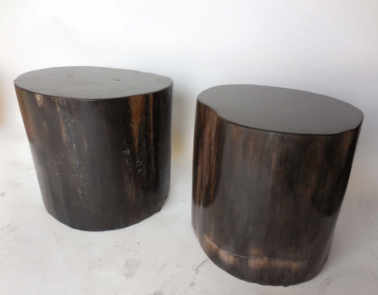 Two black petrified wood or stone stools or side tables. Beautiful
can be sold separately.
Dimension: Left measures: 20 x 17 x 17.5 H.
Right measures: 18 x 17 x 17.5 H.