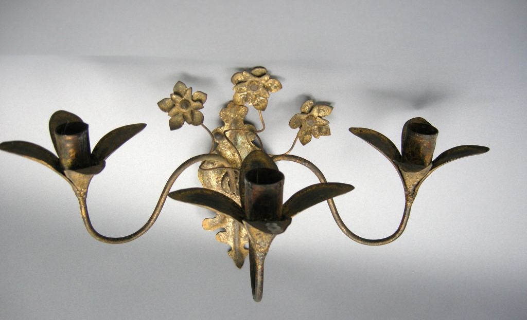 19th Century Gilded Sconces