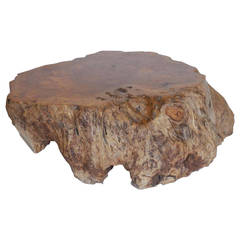 Large-Scale Teak Root Table