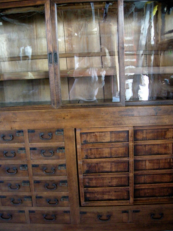 Edo Very Large 19th Century Japanese Apothecary/Display Cabinet With Glass Doors