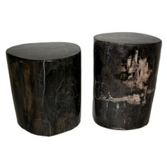 Petrified Wood Table
