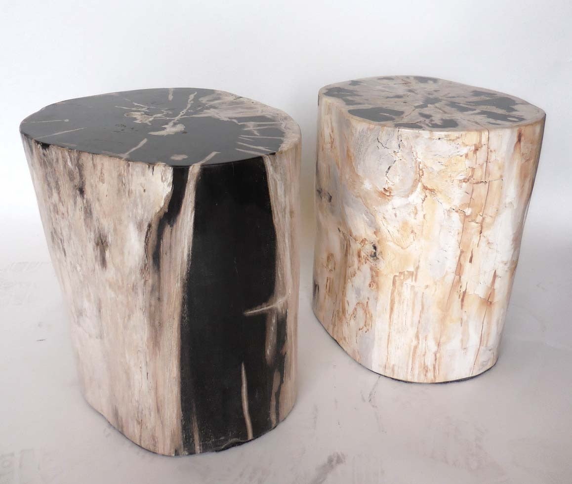 Petrified wood or stone stools or side tables. White, beige and black variations.

Left: 18.5 x15.5 x18 H.
Right: 13 x 15.5 x 18H.
Can be sold separately.