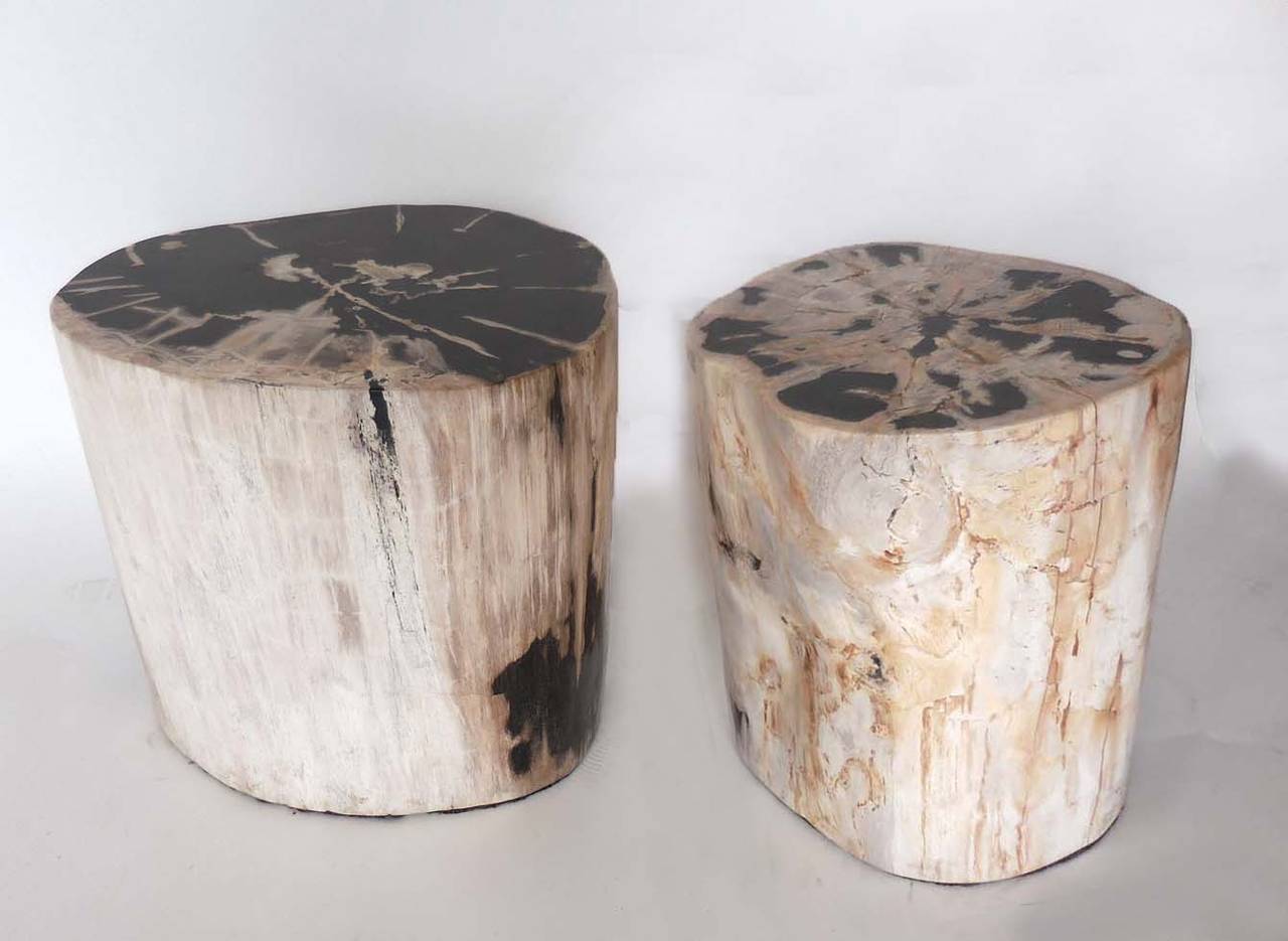 International Style Petrified Wood Side Tables