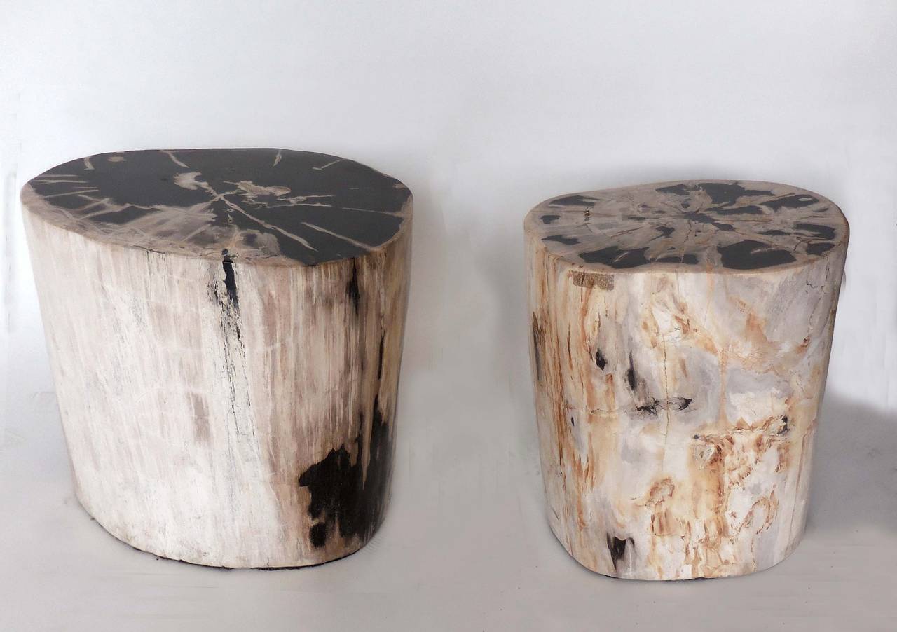 Indonesian Petrified Wood Side Tables