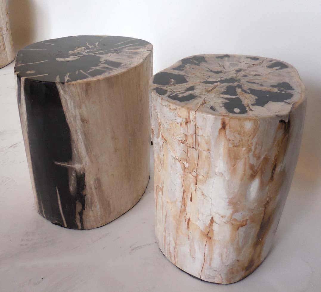 Petrified Wood Side Tables In Good Condition In Los Angeles, CA